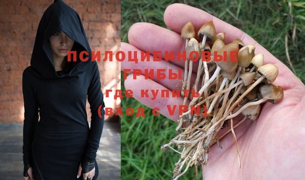соль ск Горнозаводск