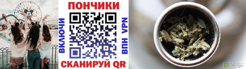 Марихуана SATIVA & INDICA  Купить закладки  Камешково 